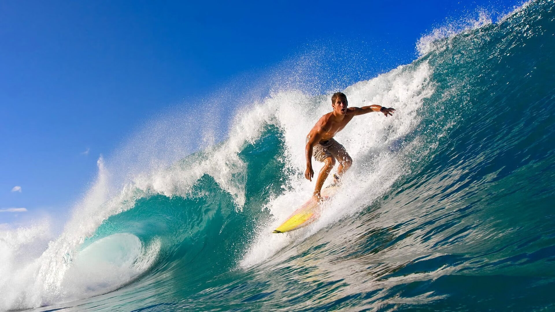 美加墨世界杯之夜，文班亚马的不完美教科书